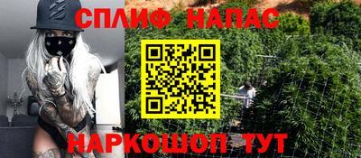 крисы Малгобек