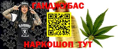 крисы Малгобек