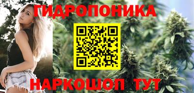 крисы Малгобек