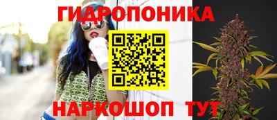 крисы Малгобек