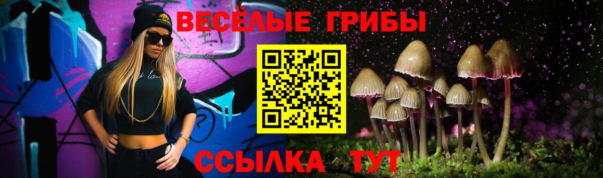 Галлюциногенные грибы прущие грибы  Галлюциногенные грибы мицелий  Вход с VPN  Звенигород 
